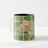 Zoe deckte Foto mit Ziegeln Zweifarbige Tasse (Vorderseite Links)