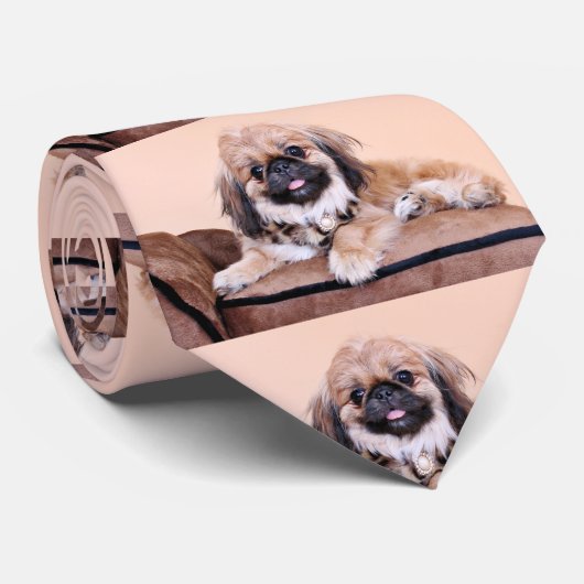 Zoe - Pekingese Krawatte (Gerollt)