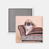 Zoe - Pekingese Magnet (Vorderseite/Rückseite)