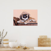 Zoe - Pekingese Poster (Küche)