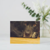 Zoe Postkarte (Stehend Vorderseite)