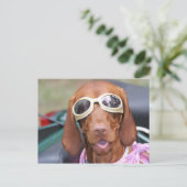 Zoe Ready to Ride Postkarte (Stehend Vorderseite)