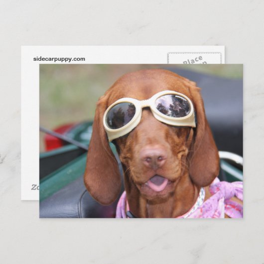 Zoe Ready to Ride Postkarte (Vorne/Hinten)