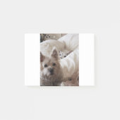 Zoe und Yoda Post-it Klebezettel (Vorderseite)