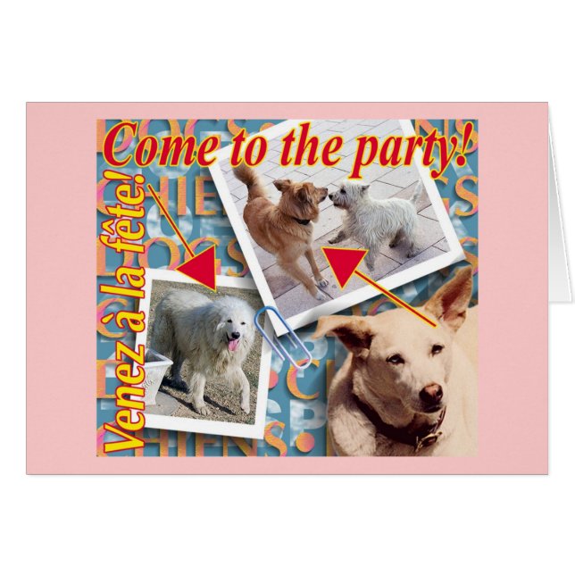 ZoeSPEAK - Kommen Sie ins Party! (Vorderseite (Horizontal))