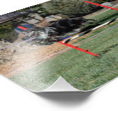 Zoey 1 fotodruck (Ecke)