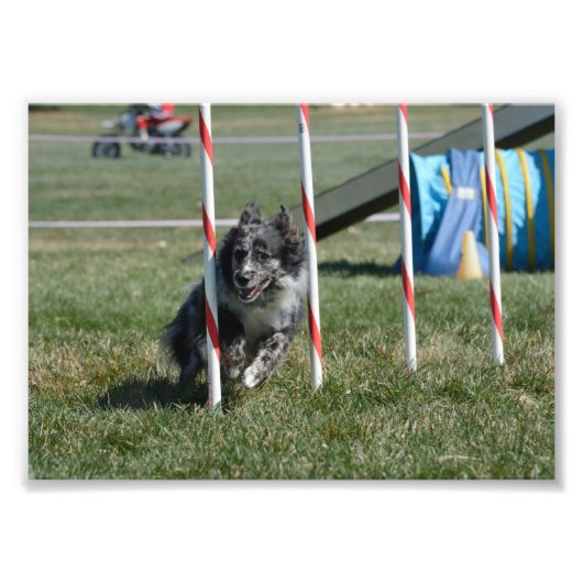 Zoey 2 fotodruck (Vorne)