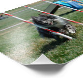 Zoey 2 fotodruck (Ecke)