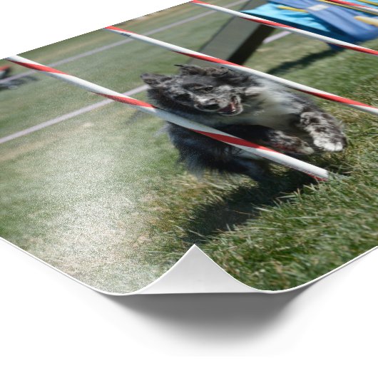 Zoey 2 fotodruck (Ecke)