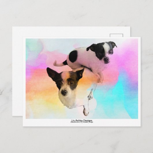 Zoey & Gracie Disco Blank Postcard! Postkarte (Vorne/Hinten)
