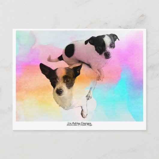 Zoey & Gracie Disco Blank Postcard! Postkarte (Vorderseite)