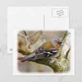 Zoll 8R84D-22 Postkarte (Vorne/Hinten)