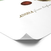 Zollapfel Poster (Ecke)