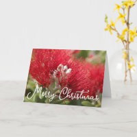 ZOLLBARE POHUTAKAWA XMAS KIWI CARD