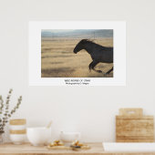 ZOLLBARE WILDPFERDE VON UTAH FOTOGRAPH POSTER (Küche)