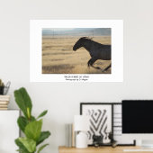 ZOLLBARE WILDPFERDE VON UTAH FOTOGRAPH POSTER (Heimbüro)