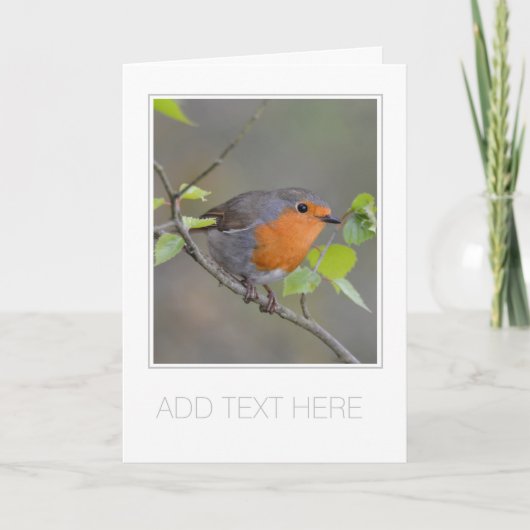 ZOLLKARTE "ROBIN REDBREAST" GREETCARD KARTE (Vorderseite)