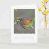 ZOLLKARTE "ROBIN REDBREAST" GREETCARD KARTE (Gelbe Blume)
