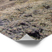 Zollposter El Teide Poster (Ecke)