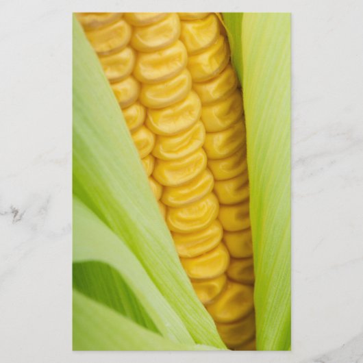 Zollrechtliche Flyer für Frischmais (Vorne)