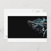 Zombie Hände Postkarte (Vorne/Hinten)