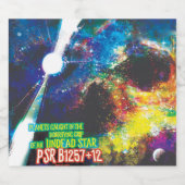 Zombie Worlds Halloween Galaxie der Horror Alkoholflaschenetikett (Einzelnes Label)