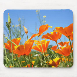 Zomers gevoel van wilde oranje bloemen. mousepad