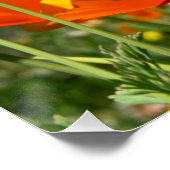 Zomers gevoel van wilde oranje bloemen. poster (Ecke)