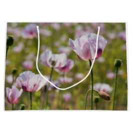 Zomers veld met lila bloemen in bloei. große geschenktüte