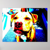 Zone hintererisiert poster (Vorne)