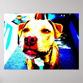 Zone hintererisiert poster