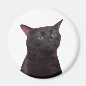 Zoned Out Cat Meme Magnet (Vorne)