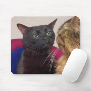 Zoned Out Cat Meme Mouse Pad Mousepad