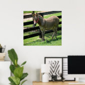 Zonkey-Name für Esel und Zebra-Mischung Poster (Heimbüro)