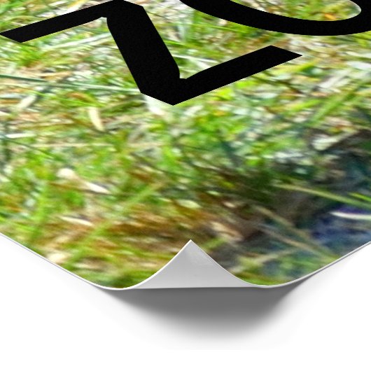 Zonkey Teil Zebra und Donkey Poster (Ecke)