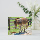 Zonkey Teil Zebra und Donkey Postkarte (Stehend Vorderseite)