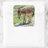 Zonkey Teil Zebra und Donkey Quadratischer Aufkleber (Tasche)