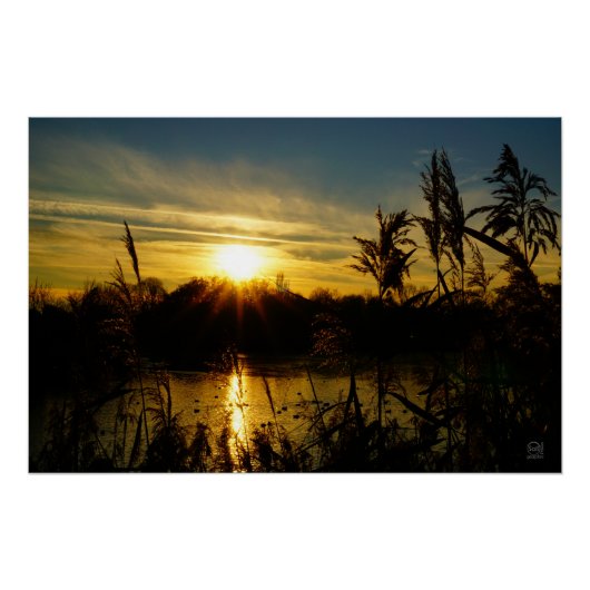 Zonsondergang bij een meertje met rietpluimen. poster (Vorderseite)