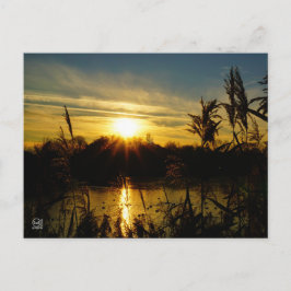 Zonsondergang bij een meertje met rietpluimen. postkarte