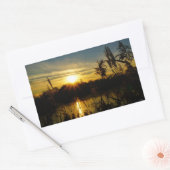 Zonsondergang bij een meertje met rietpluimen. rechteckiger aufkleber (Umschlag)