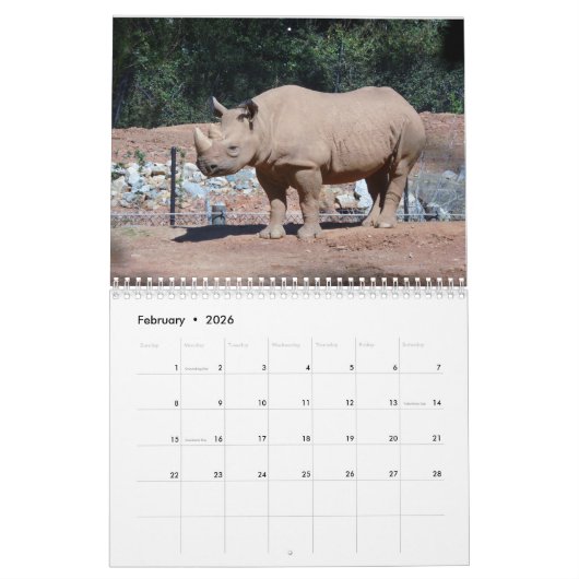 Zoo Animals Kalender 2019 (Feb 2026)