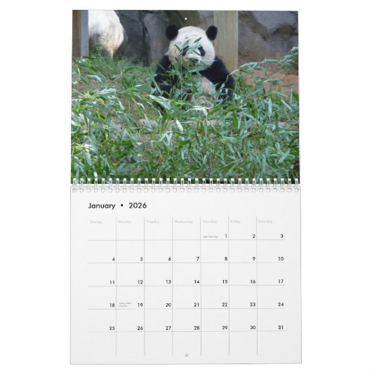 Zoo Animals Kalender 2019 (Jan 2026)