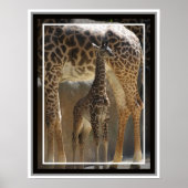 Zoo Baby 1 Poster (Vorne)