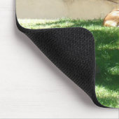 Zoo Bilder Mousepad (Ecke)