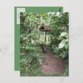 Zoo Bird-Haus Postkarte (Vorne/Hinten)