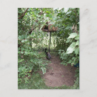 Zoo Bird-Haus Postkarte