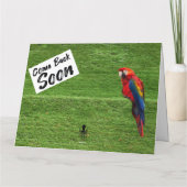 Zoo Birthday Card Karte (Rückseite)