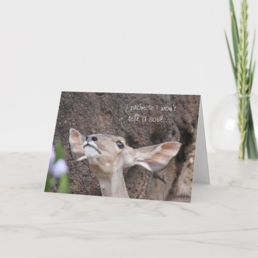 zoo cards, birthday, i promise i won't tell a soul karte (Vorderseite)