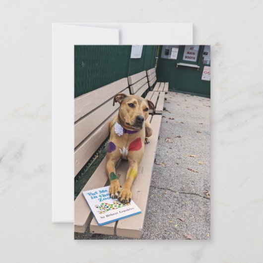 Zoo Cosplay Buch Funny Dog Foto Card Dankeskarte (Vorderseite)