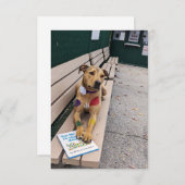 Zoo Cosplay Buch Funny Dog Foto Card Dankeskarte (Vorne/Hinten)